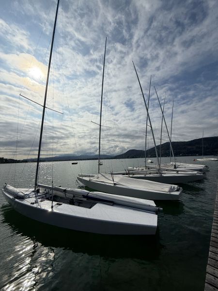 2025 Schachinger Preis